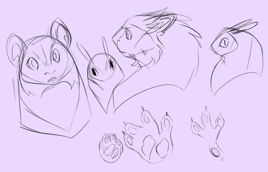 Banepin and Harpy Comparisons